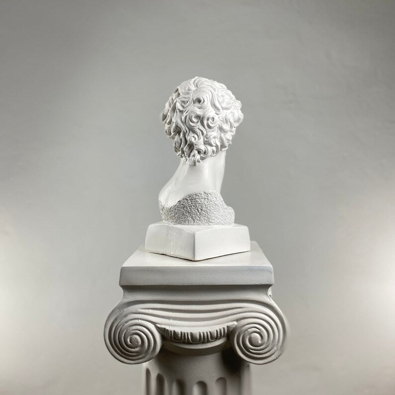 David Terminator Black